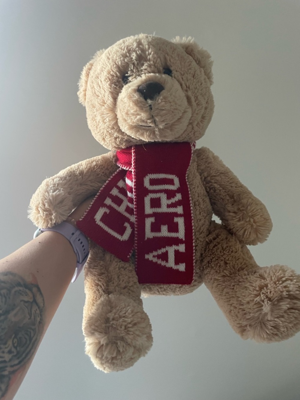 Beige Plush Teddy with Red 'AERO' Scarf - Cozy Cuddly Bear